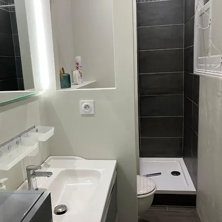 Très Beau Meublé Lumineux La Bourboule