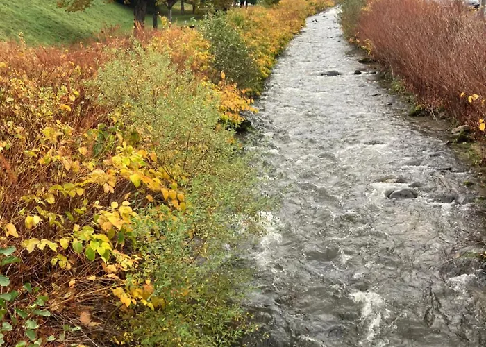 Апартаменты Tres Beau Meuble Lumineux *